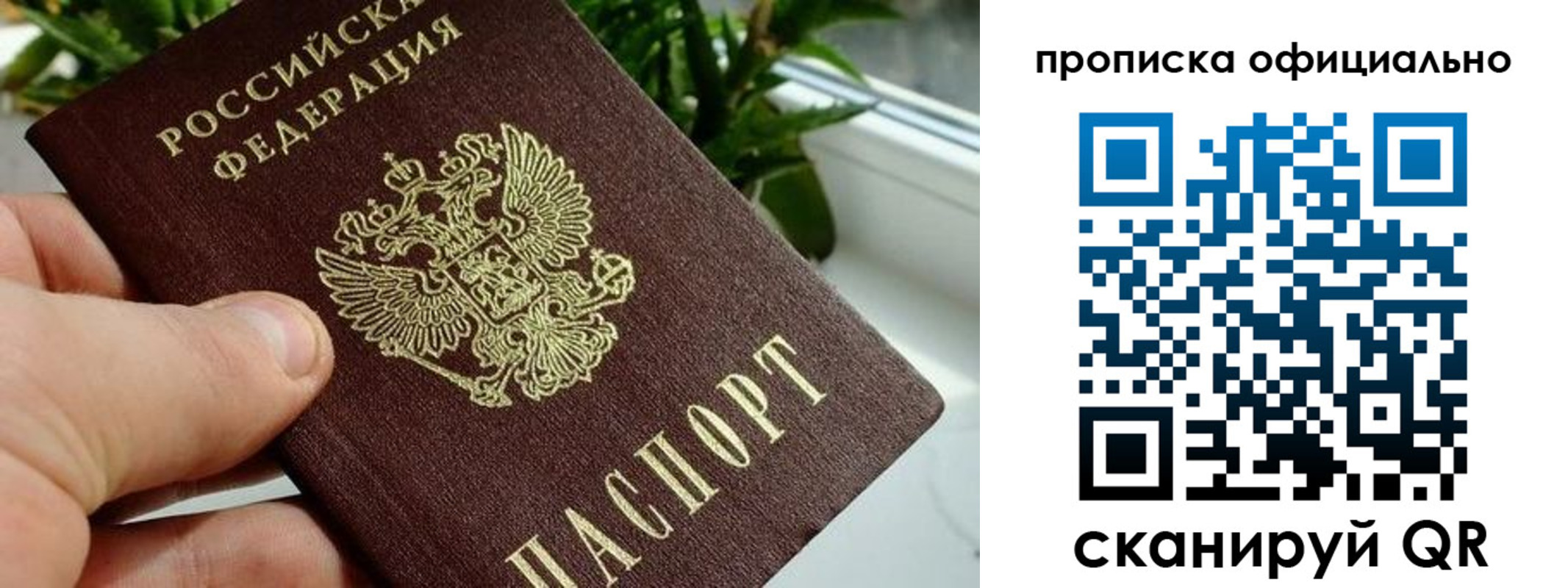 прописка поиск в Рыбном